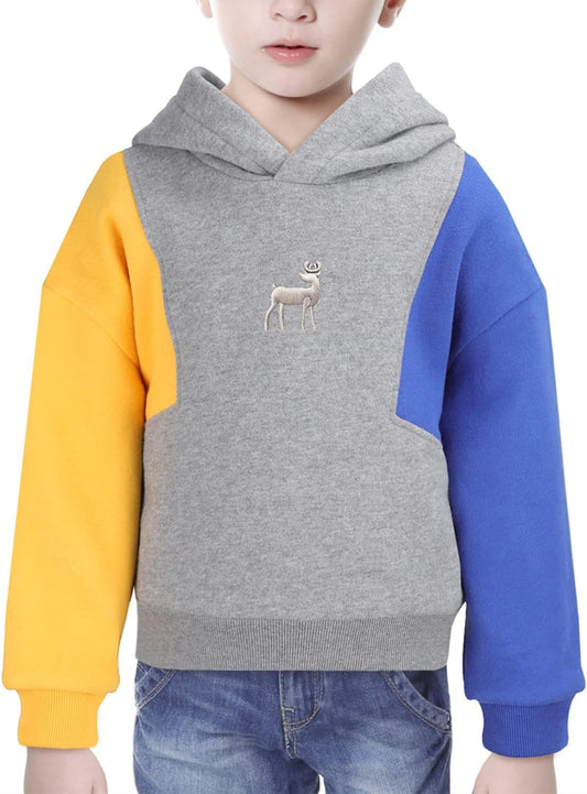 "Cozy and Stylish Hoodies for Boys - Perfect for Every Day!"